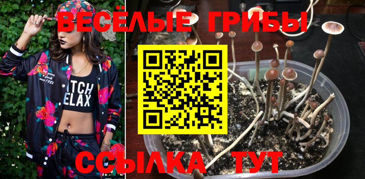 Галлюциногенные грибы Magic Shrooms Ессентуки