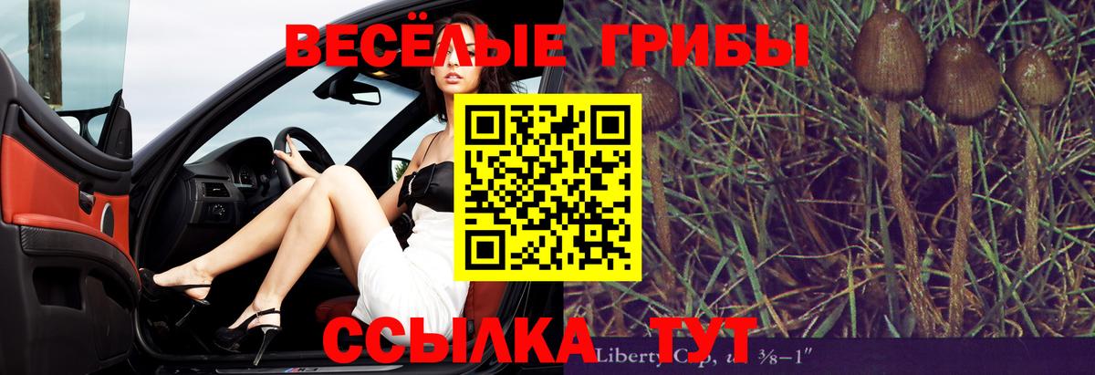 Ессентуки  Галлюциногенные грибы Cubensis  где купить   Вход с VPN  Псилоцибиновые грибы MAGIC MUSHROOMS 