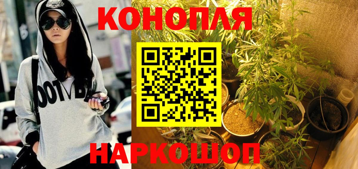 МАРИХУАНА AK-47  Марихуана план  Ессентуки  Вход с VPN  Каннабис индика 